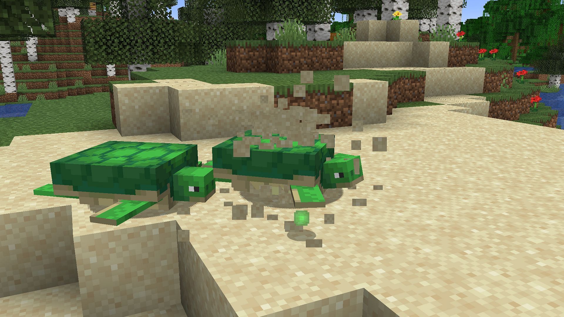 Breed two turtles to get your hands on the Minecraft turtle egg (Image via Sportskeeda Gaming || Mojang Studios)